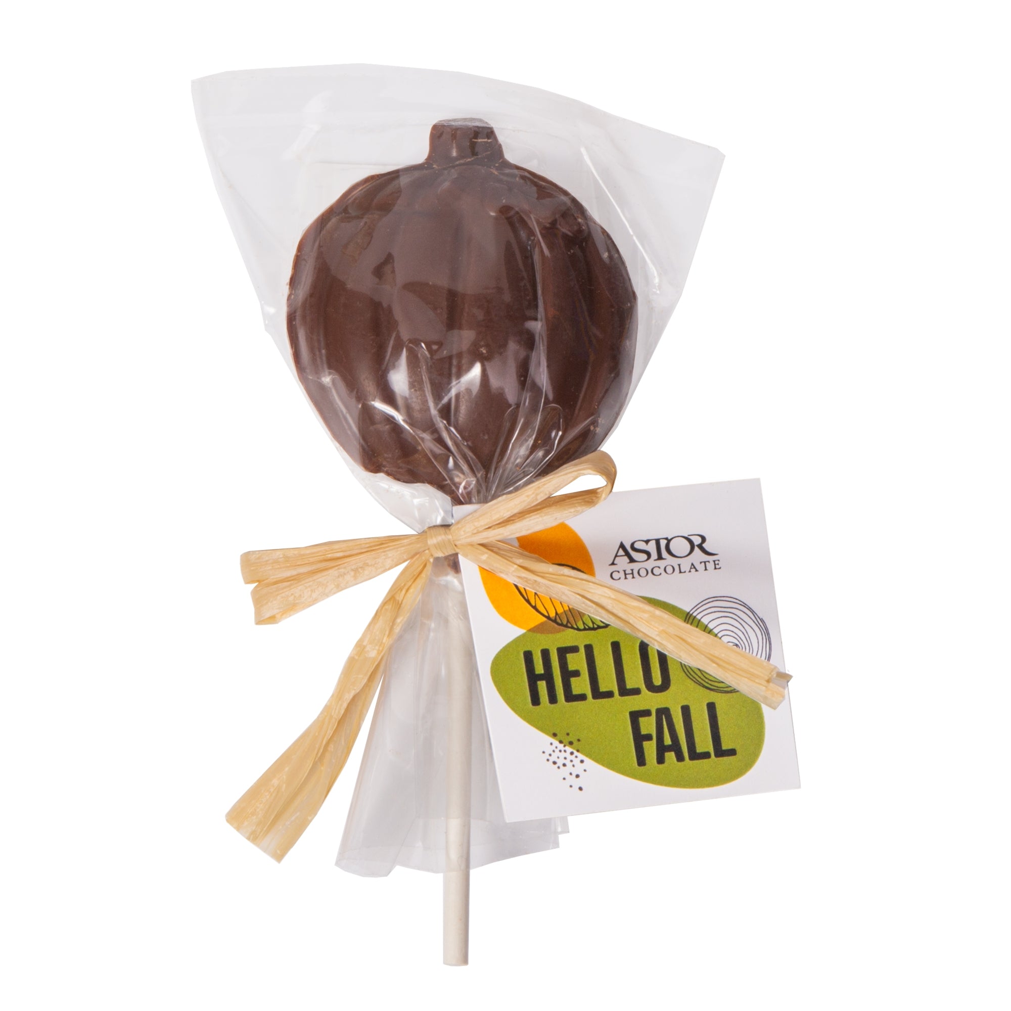 Fall Collection - Milk Chocolate Pumpkin Lollipop