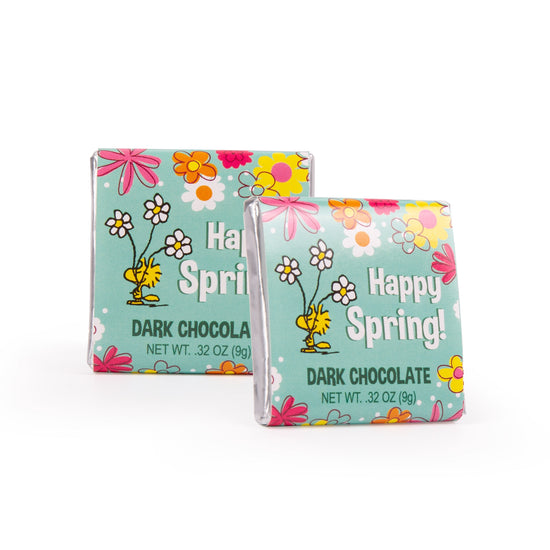 Seasonal Peanuts - Spring - Deluxe Dark Chocolate Squares 1.75 in.